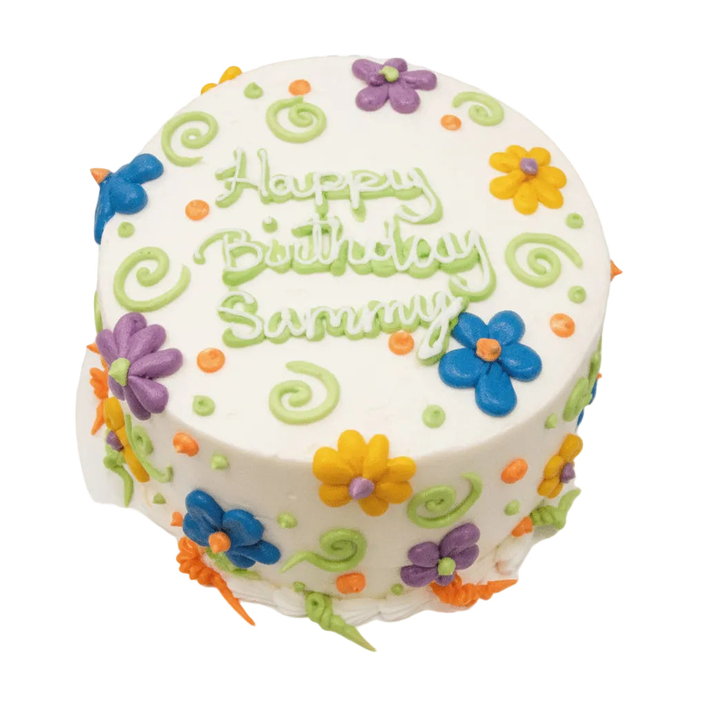 Birthday Cake with funky flowers (a piped a pedal flower), piped swirls, and dots